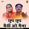 About Chhup Chhup Baithi O Maina (Hindi) Song