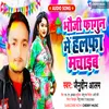About Bhauji Fagun Me Halfa Machaib (Bhojpuri) Song
