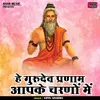 About He Gurudev Pranam Apake Charnon Mein (Hindi) Song