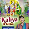 About Kaliya O Kaliya Song