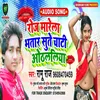 About Roj Marela Bhatar Sute Chati Othlaliya Song