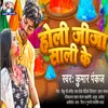 About Holi Jija Sali Ke (Bhojpuri) Song