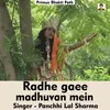 Radhe Gaee Madhuvan Mein (Hindi Song)