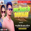 About Chapra Siwan Ke Babuaan Song