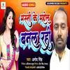 About Masti Ke Mahol Banal Rahi Song