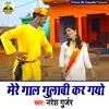 Mere Gal Gulabi Kar Gayo (Haryanvi)