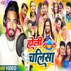 About Holi Chalisa Song