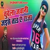 About Chuwela Jawani Jaise Taad Ae Raja Song