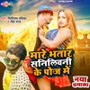 About Mare Bhatar Sunnyleone Ke Poj Me (Bhojpuri) Song