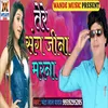 About Tere Sang Jina Marna Song