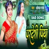 About Pradeshi Piya (Bhojpuri) Song