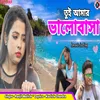 About Tui Amar Bhalobasha (Bengali) Song