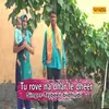 About Tu Rove Na Dhar Le Dheer Song