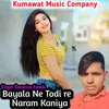 About Bayala Ne Todi Re Naram Kaniya (Rajasthani) Song
