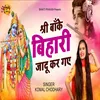 About Shree Banke Bihari Jadu Kar Gaye (Bhakti Song) Song