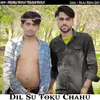 Dil Su Toku Chahu