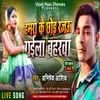 About Hamra Ke Chhod Rajau Gaila Baharwa Song