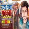 About Raja Leja Gawanwa (bhpjpuri) Song