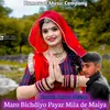 About Maro Bichdiyo Payar Mila De Maiya (Rajasthani) Song