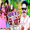 About Choli Ke Rang Se Bore Song