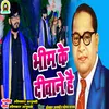 About Bhim Ke Deewane Hai (Bhojpuri) Song