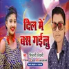 About Dil Me Bas Gailu (Hindi) Song