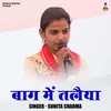 Baag Mein Talaiya (Hindi)