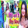 About Chhaudi Maro Hai Chhauda Bina Song