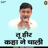 About Tu Heer Kaha Ne Chali (Hindi) Song