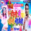 About Holi Me Choli Bhilebo Song