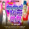 About Toip Toip Nachai Chhai Apan Dhodhi Chaudi (Maithili) Song