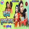 About Saiya Jhulphi Wala Song