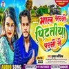 About Maal Sarso Pitatiya Parso Se (Bhojpuri) Song