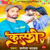 About Kulfi (Bhojpuri) Song