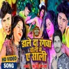 About Dale Da Rangwa Choli Me A Sali Song