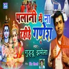 About Palani Mein Na Rahihe Ganesh Song