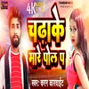 About Chadhake Mare Pol Par Song