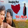 About Dil Mera Le Gai Song