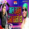 About Gaal Jamal Jena Chhali Chho Song