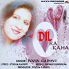 About Dil Ka Kaha Song