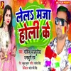 About Lela Maja Holi Ke (Bhojpuri) Song