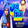 About Jai Bhim Song