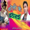 About Choli Ke Badhanwa Song