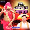 About Guru Ajay Das Maharaj (Hindi) Song