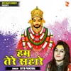 About Hum Tere Sahare (Hindi) Song