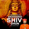 About Om Namah Shivay Shiv Dhun (Hindi) Song