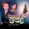 About Matlab Ke Yaar (Viral song maithili) Song