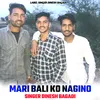 About Mari Bali Ko Nagino Song