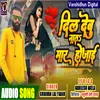 About Dil Debu Nata Mar Ho Jai Song