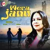 About Mere Jaanu Song